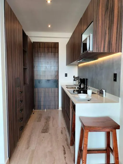 Apartment Excellence Studio Condo For Rent In Palais Tulum P404