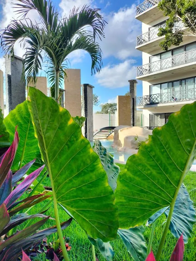 Excellence Studio Condo For Rent In Palais Tulum P404 0*,